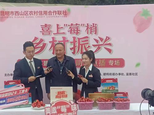 碧鸡街道富善社区帮扶人才张启洪
